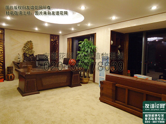经理室广州植物租赁摆放方案--广州植物租赁，友谊花网